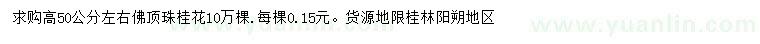 求購高50公分佛頂珠桂花