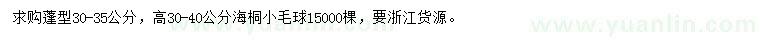 求購(gòu)高30-40公分海桐小毛球