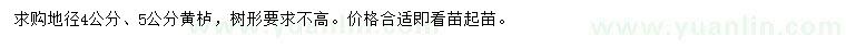 求購地徑4、5公分黃櫨