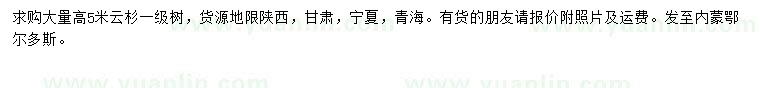 求購高5米云杉