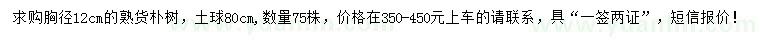 求購胸徑12公分樸樹