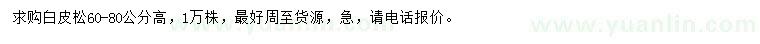 求購60-80公分白皮松