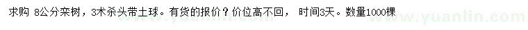 求購8公分欒樹