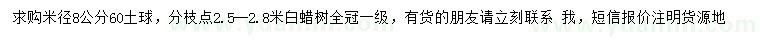 求購米徑8公分白蠟