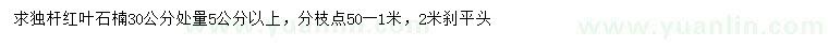 求購5公分以上獨(dú)桿紅葉石楠