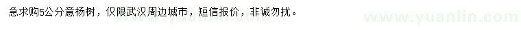 求購5公分意楊樹