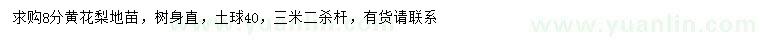 求購(gòu)8公分黃花梨地苗