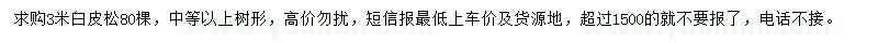 求購3米白皮松