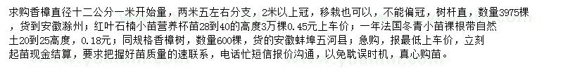 求購香樟、紅葉石楠小苗、法國冬青小苗