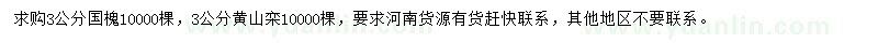 求購3公分國槐、黃山欒