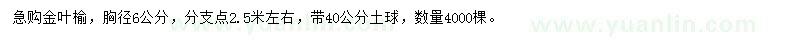 求購胸徑6公分金葉榆