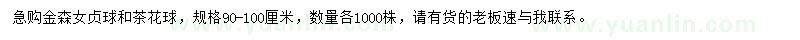 求購(gòu)90-100公分金森女貞球、茶花球