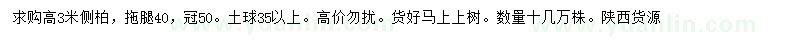 求購高3米側(cè)柏
