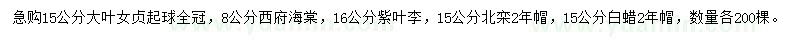 求購大葉女貞、紫葉李、北欒等