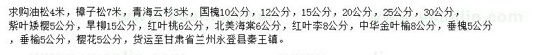 求購(gòu)樟子松、金葉榆、北美海棠等