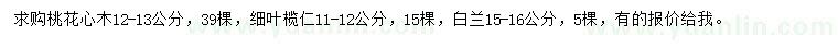 求購(gòu)桃花心木、細(xì)葉欖仁、白蘭