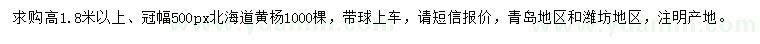 求購高1.8米以上北海道黃楊