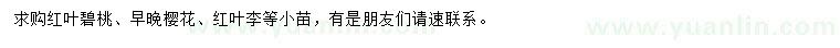 求購(gòu)紅葉碧桃、早晚櫻花、紅葉李等