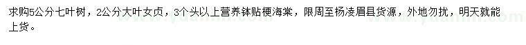 求購七葉樹、大葉女貞、貼梗海棠