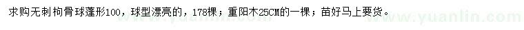 求購無刺枸骨球、重陽木