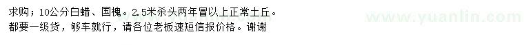 求購(gòu)10公分白蠟、國(guó)槐