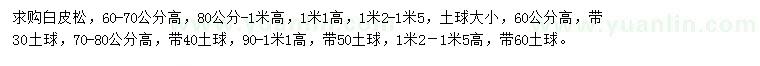求購0.6-1.5米白皮松