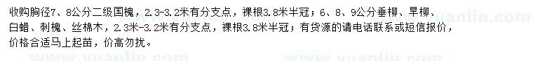 求購(gòu)國(guó)槐、垂柳、旱柳等