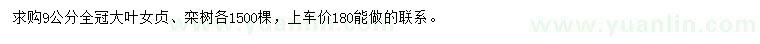 求購9公分大葉女貞、欒樹