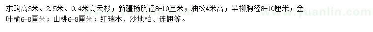 求購云杉、新疆楊、油松等