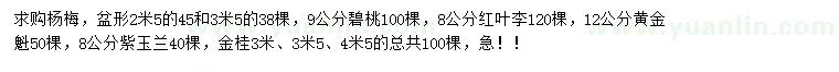 求購楊梅、碧桃、紅葉李等