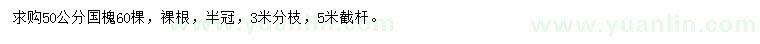 求購50公分國槐