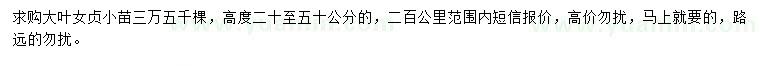 求購大葉女貞小苗