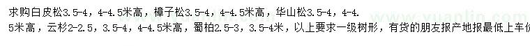 求購白皮松、樟子松、華山松等