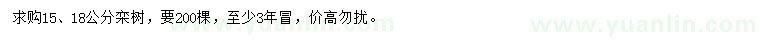 求購15、18公分欒樹
