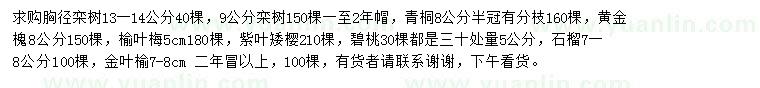 求購欒樹、青桐、黃金槐等