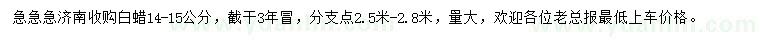 求購14-15公分白蠟