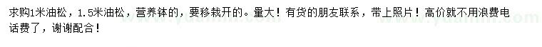 求購1米油松