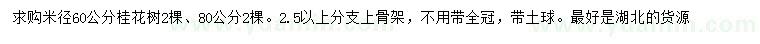 求購米徑60、80公分桂花樹