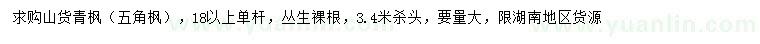 求購(gòu)18公分以上單桿五角楓
