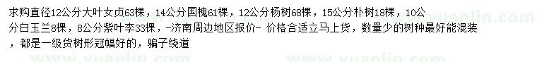 求購大葉女貞、國槐、楊樹等