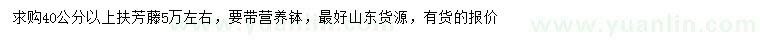 求購40公分以上扶芳藤