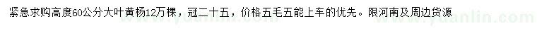 求購(gòu)高60公分大葉黃楊