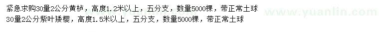 求購30量2公分黃櫨、紫葉矮櫻