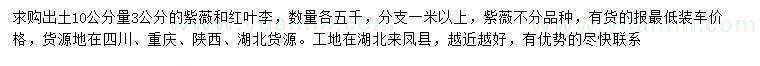求購(gòu)10公分量3公分紫薇、紅葉李