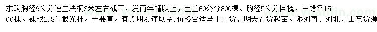 求購速生法桐、國槐、白蠟