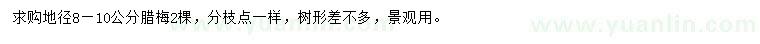 求購地徑8-10公分臘梅