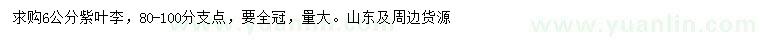求購6公分紫葉李