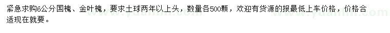 求購6公分國槐、金葉槐