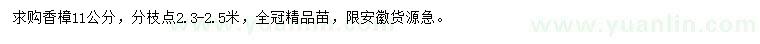 求購(gòu)11公分香樟