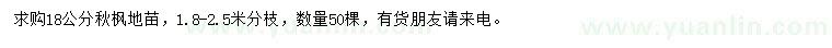 求購18公分秋楓地苗